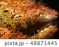 弘前城　紅葉 48871445
