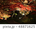 弘前城紅葉 48871625
