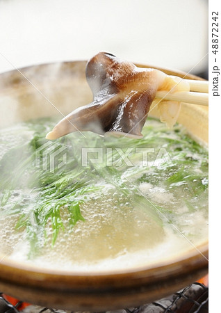 とり貝 48872242