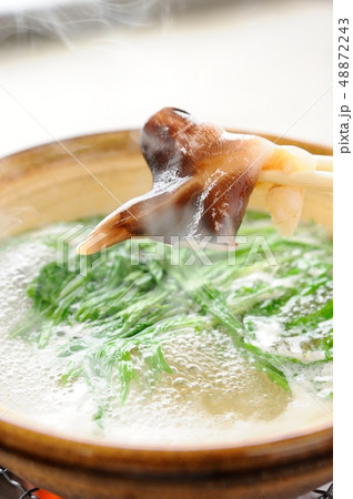 　とり貝 48872243