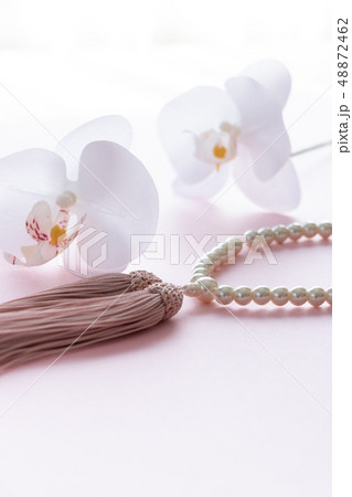 数珠と胡蝶蘭 48872462