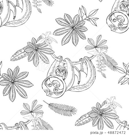 Seamless Pattern with Sloths in Jungle. Animal and Plants sketches. Hand Drawn Background  48872472