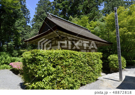 金剛輪寺 二天門 金剛輪寺 二天門 48872818