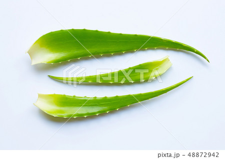 Aloe vera fresh leaves on white 48872942