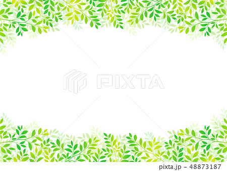 新緑青葉の爽やかな木の葉イメージ 新緑青葉の爽やかな木の葉イメージ 48873187