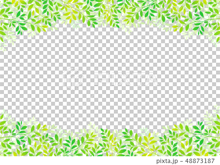 新緑青葉の爽やかな木の葉イメージ 新緑青葉の爽やかな木の葉イメージ 48873187