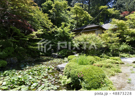 金剛輪寺 水雲閣 金剛輪寺 水雲閣 48873228