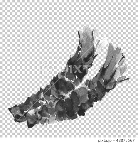 芥末山藥芥末水墨畫單調 芥末山藥芥末水墨畫單調 48873567