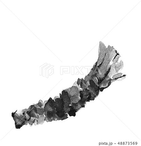 わさび 山葵 ワサビ 水墨画 モノトーン わさび 山葵 ワサビ 水墨画 モノトーン 48873569