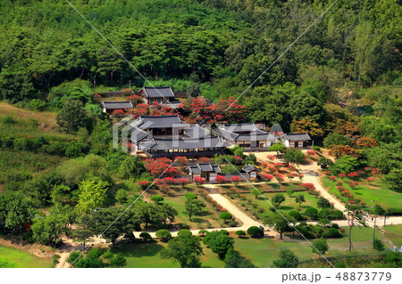 屏山書院 安東 夏 48873779