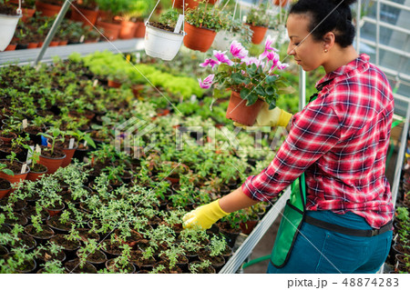 Black woman working in a botanical garden Black woman working in a botanical garden 48874283