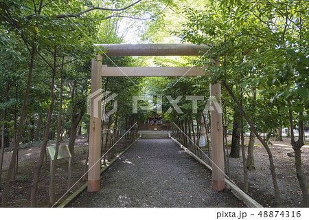 賀茂真淵をまつる縣居神社の鳥居（静岡県浜松市） 48874316