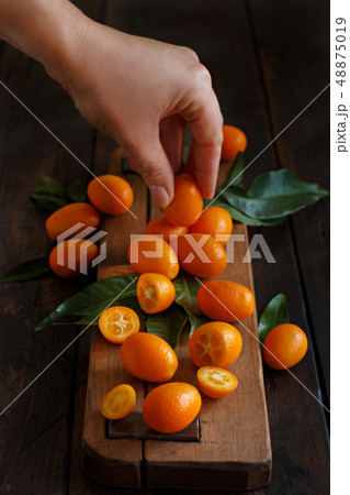 Kumquat fruits on a dark wooden background Kumquat fruits on a dark wooden background 48875019