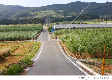 田舎道 田舎道 48875478