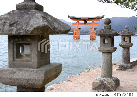 出雲大社の鳥居と灯篭 出雲大社の鳥居と灯篭 48875484