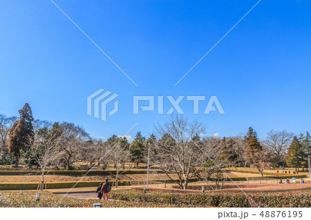 冬の佐倉城跡の角馬出の風景 48876195