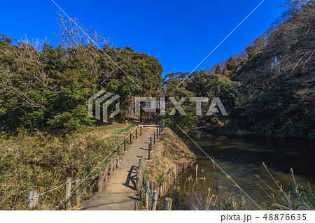冬の佐倉城跡の出丸跡の風景 48876635