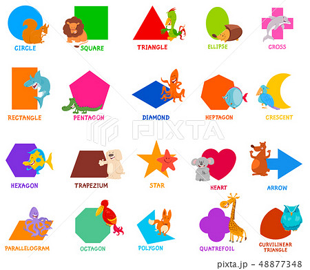 basic geometric shapes for kids with animals 48877348
