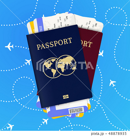Travel by plane. Biometric passport and airline 48878935