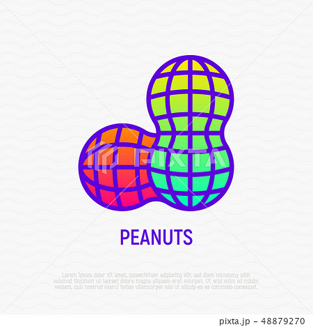 Peanut thin line icon. Modern vector illustration 48879270