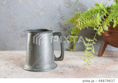 Vintage pewter beer mug and green plant Vintage pewter beer mug and green plant 48879637