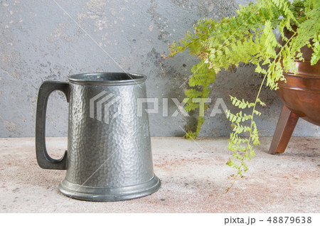 Vintage pewter beer mug and green plant Vintage pewter beer mug and green plant 48879638