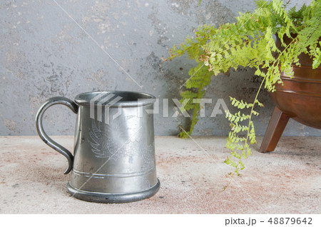 Vintage pewter beer mug and green plant Vintage pewter beer mug and green plant 48879642