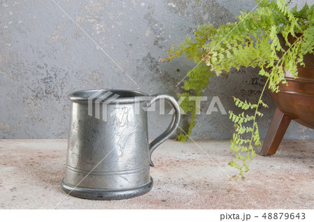 Vintage pewter beer mug and green plant Vintage pewter beer mug and green plant 48879643