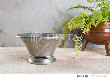 Vintage pewter flower pot and green plant Vintage pewter flower pot and green plant 48879659