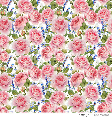 Watercolor rose pattern 48879808