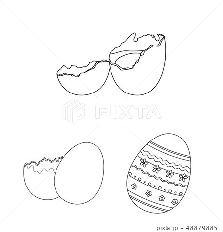 Vector illustration of egg and breakfast icon. Set of egg and meal vector icon for stock. Vector illustration of egg and breakfast icon. Set of egg and meal vector icon for stock. 48879885