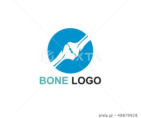 Bone logo vector template vector 48879928