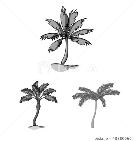 Vector design of tree and summer logo. Set of tree and green  stock vector illustration. 48880660