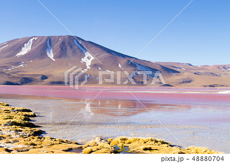 Laguna Colorada view, Bolivia Laguna Colorada view, Bolivia 48880704