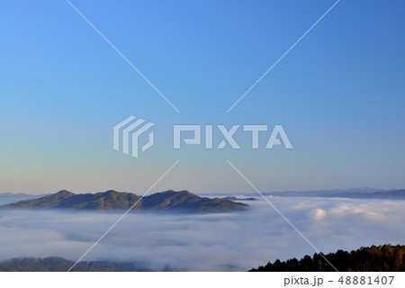 亀岡盆地の雲海 48881407