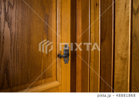 Wooden door antique style, vintage design background texture 48881868