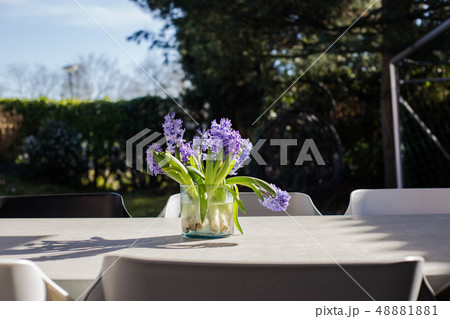 bunch of purple flowers in vase on garden table, colorful sunny garden 48881881