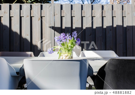 bunch of purple flowers in vase on garden table, colorful sunny garden 48881882