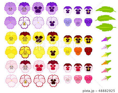 パンジーとビオラのイラスト素材のイラスト素材 45