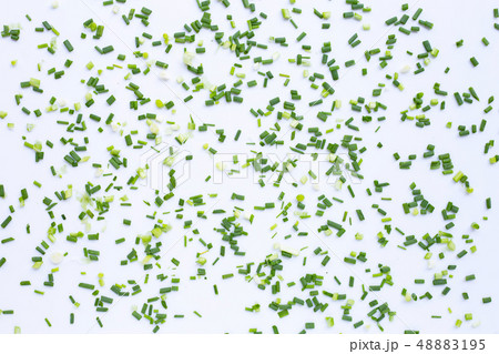 Green onions isolated on white 48883195