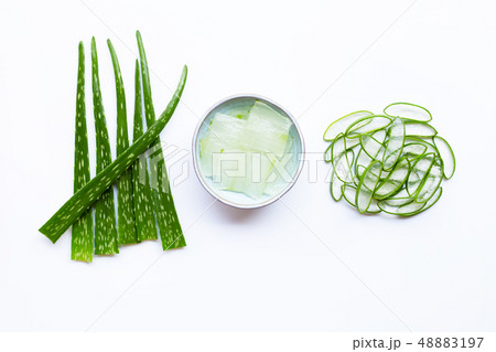 Aloe vera is a popular medicinal plant for health 48883197