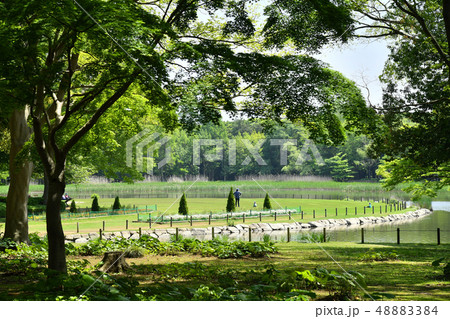 茨城県つくば市 洞峰公園 茨城県つくば市 洞峰公園 48883384