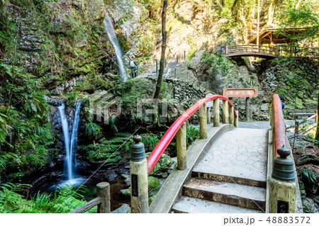 埼玉　越生　黒山三滝 48883572