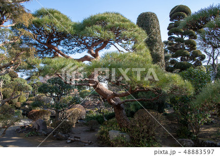 城下町小幡　武家屋敷　庭園　群馬県甘楽町　 48883597
