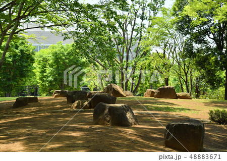 茨城県つくば市竹園 竹園公園 茨城県つくば市竹園 竹園公園 48883671