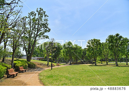 茨城県つくば市竹園　竹園公園 48883676