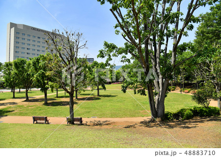 茨城県つくば市竹園　竹園公園　 48883710