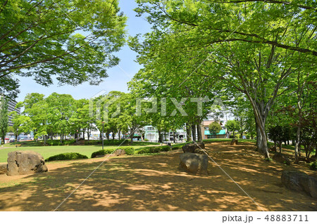 茨城県つくば市竹園 竹園公園 茨城県つくば市竹園 竹園公園 48883711