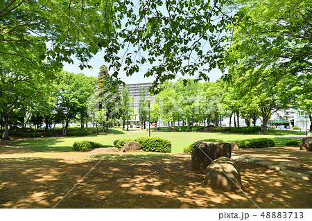 茨城県つくば市竹園 竹園公園 茨城県つくば市竹園 竹園公園 48883713