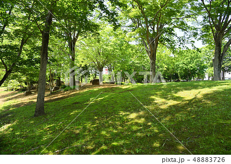 茨城県つくば市竹園　竹園公園 48883726